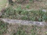 image of grave number 503497